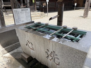 IMG_7686_コピー